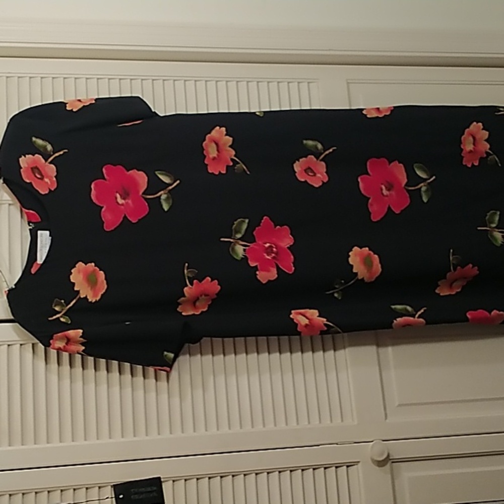 Plus-size Maggy London Woman 100% Silk Dress, size 22